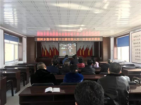 梨树.jpg