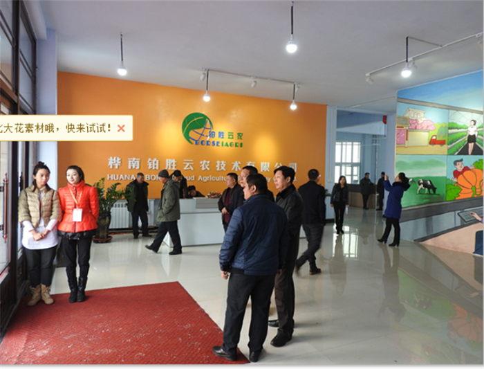 桦南县电子商务培训开展情况的公示293.png