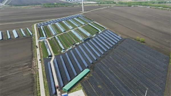 640.jpg